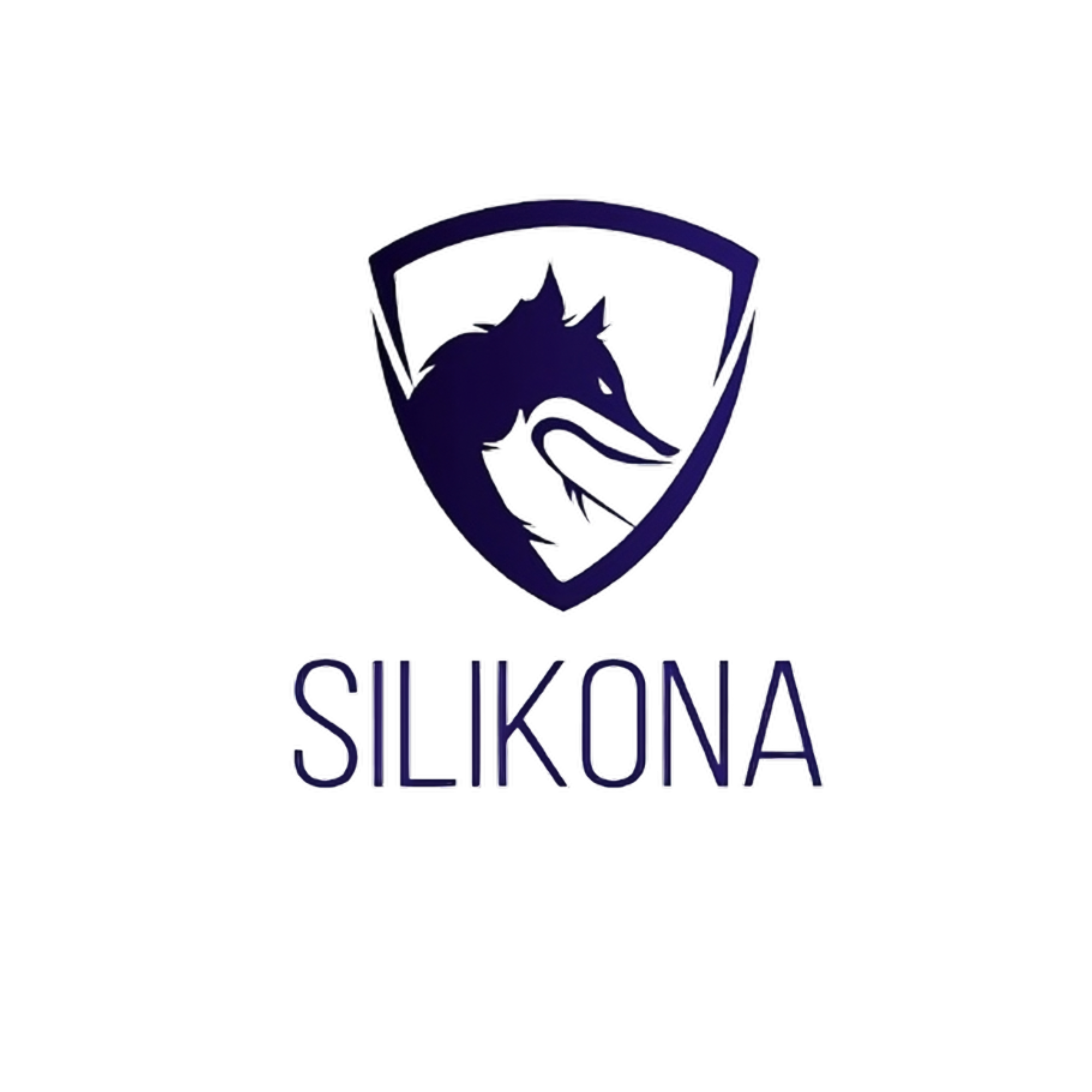 www.silikona.es